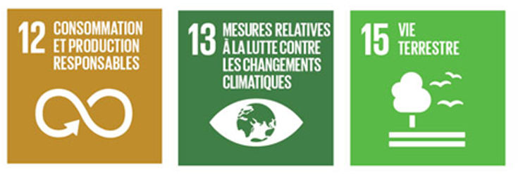 SDG 12 13 15 fr
